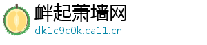 衅起萧墙网